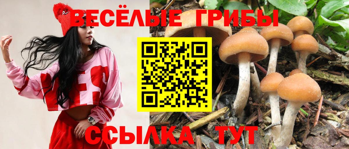 Коряжма  Галлюциногенные грибы Magic Shrooms  Вход с VPN 